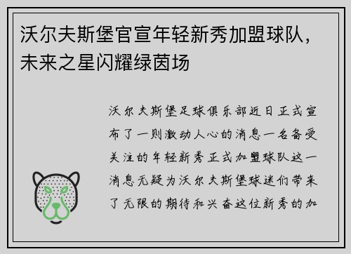 沃尔夫斯堡官宣年轻新秀加盟球队，未来之星闪耀绿茵场