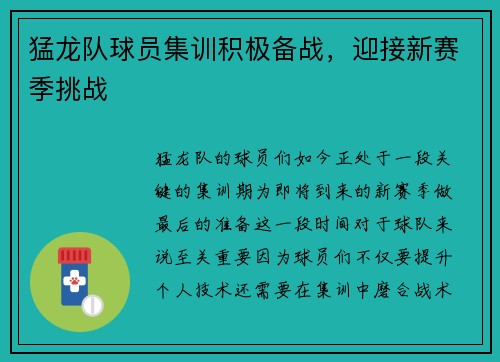 猛龙队球员集训积极备战，迎接新赛季挑战